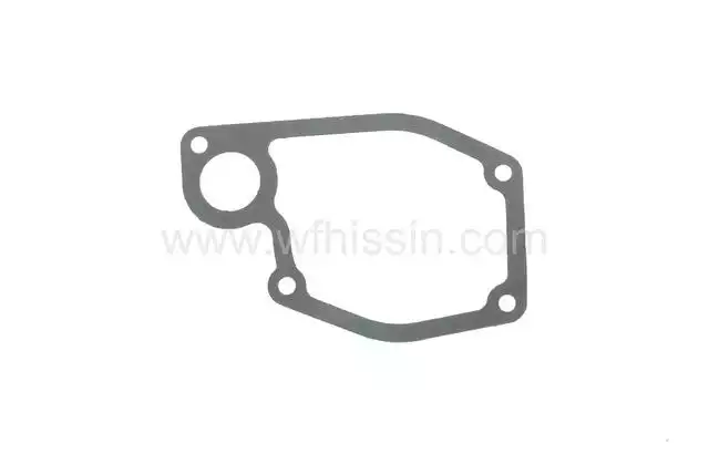Gasket for back plate